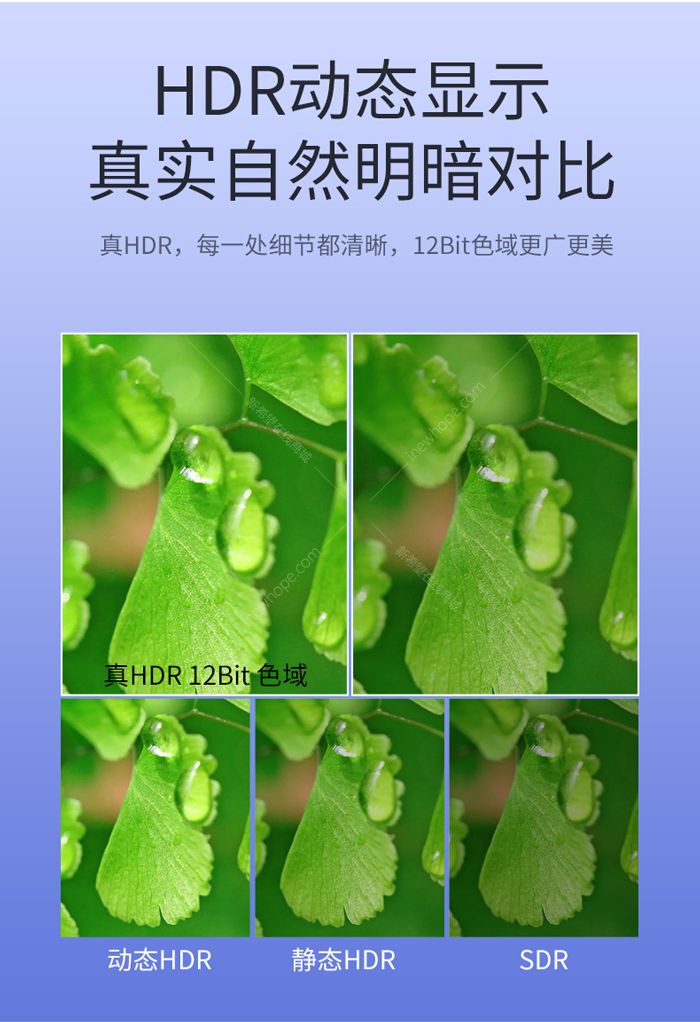 詳情_04.jpg